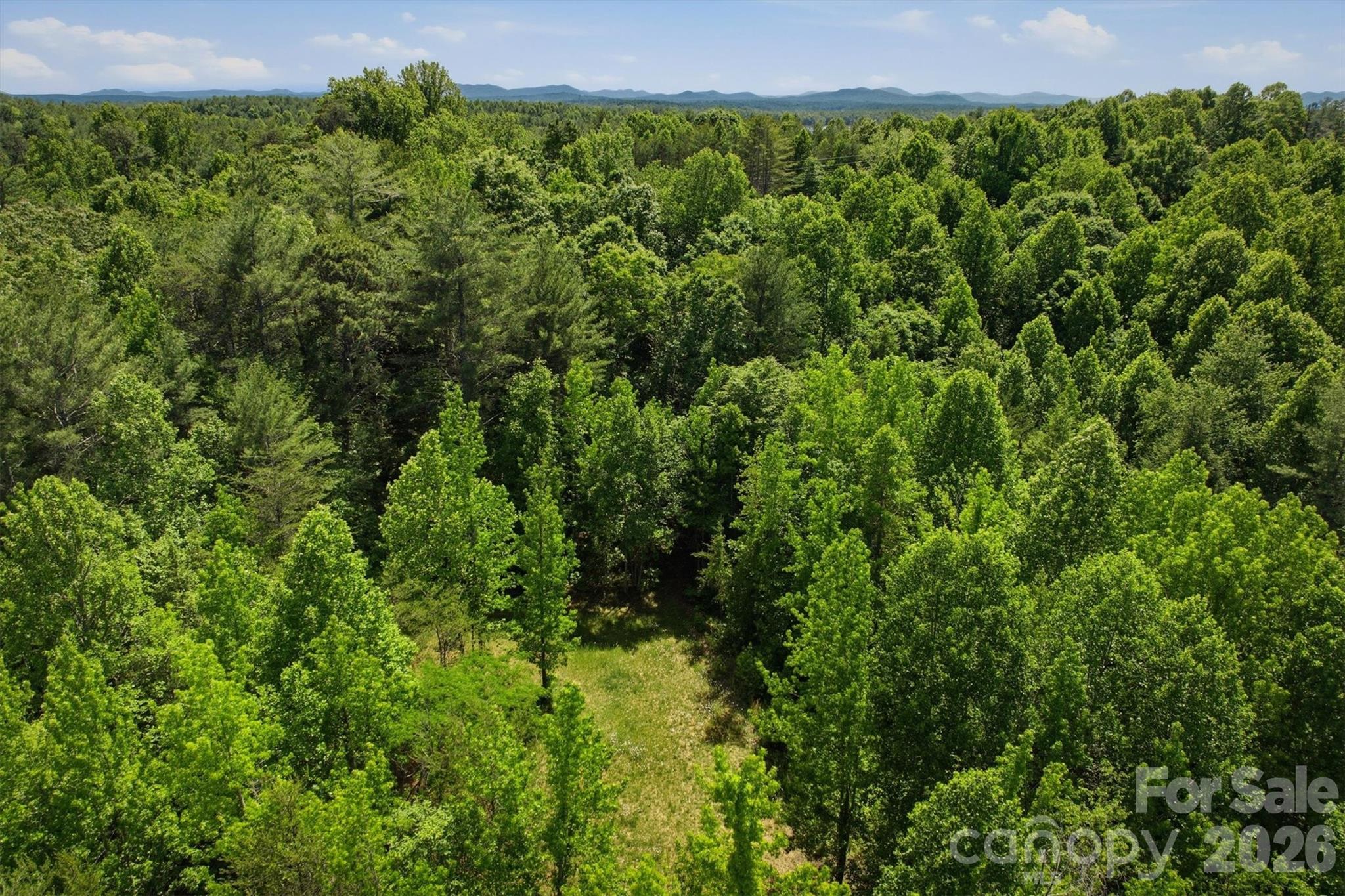 0 Nc 126 Road Morganton, NC 28655 - Photo 5 of 5 a view of a lush green forest