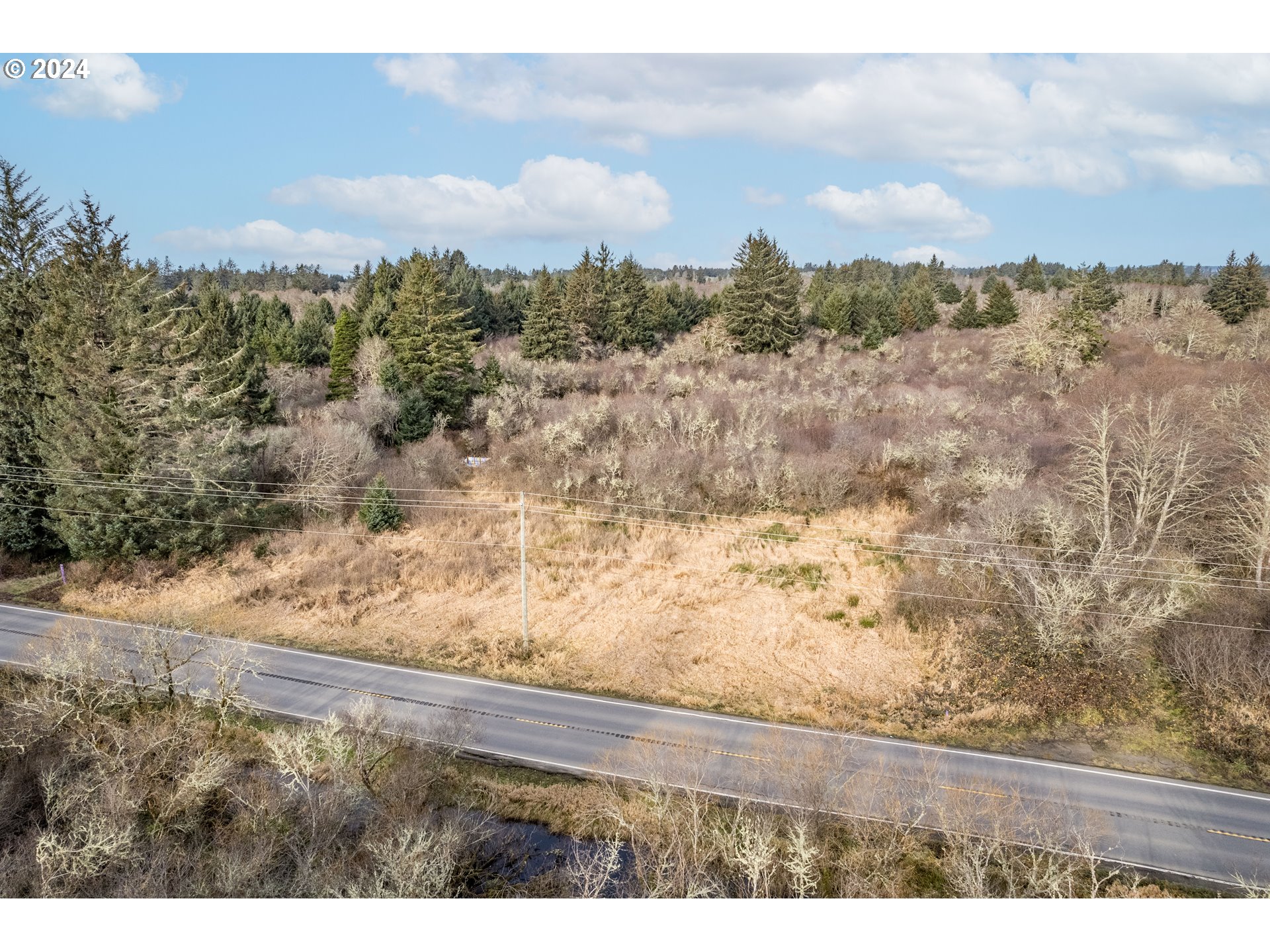 2990 40th Street Long Beach, WA 98631 - Photo 11 of 13 a view of mountain view with lots of trees