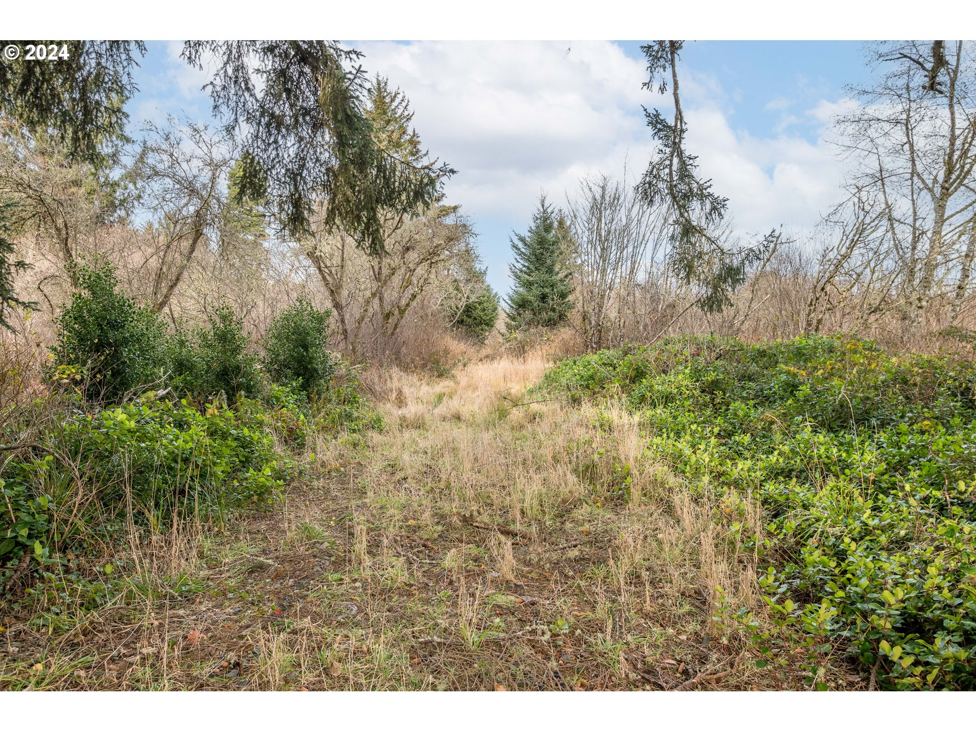 2990 40th Street Long Beach, WA 98631 - Photo 13 of 13 a view of a yard