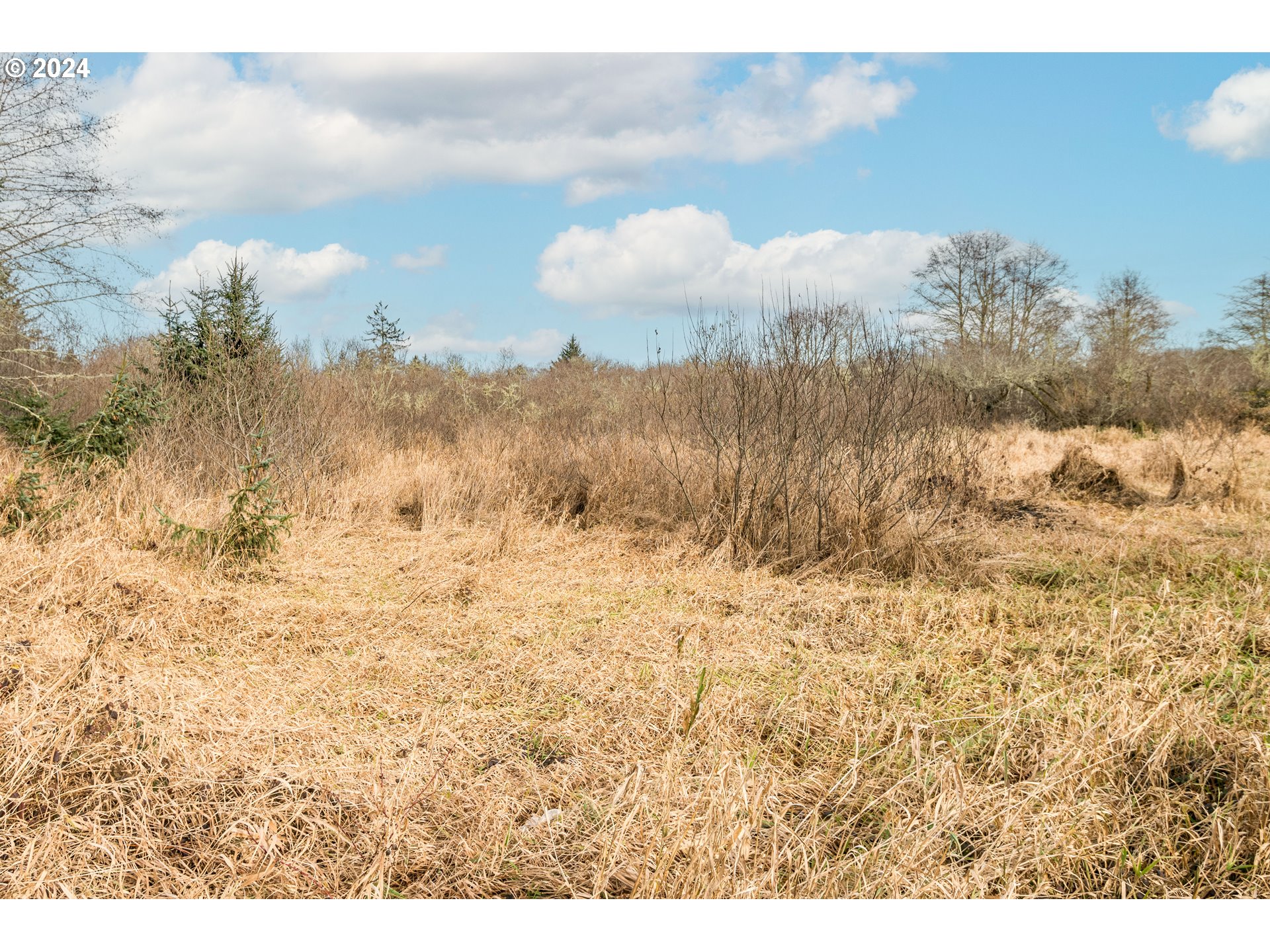 2990 40th Street Long Beach, WA 98631 - Photo 4 of 13