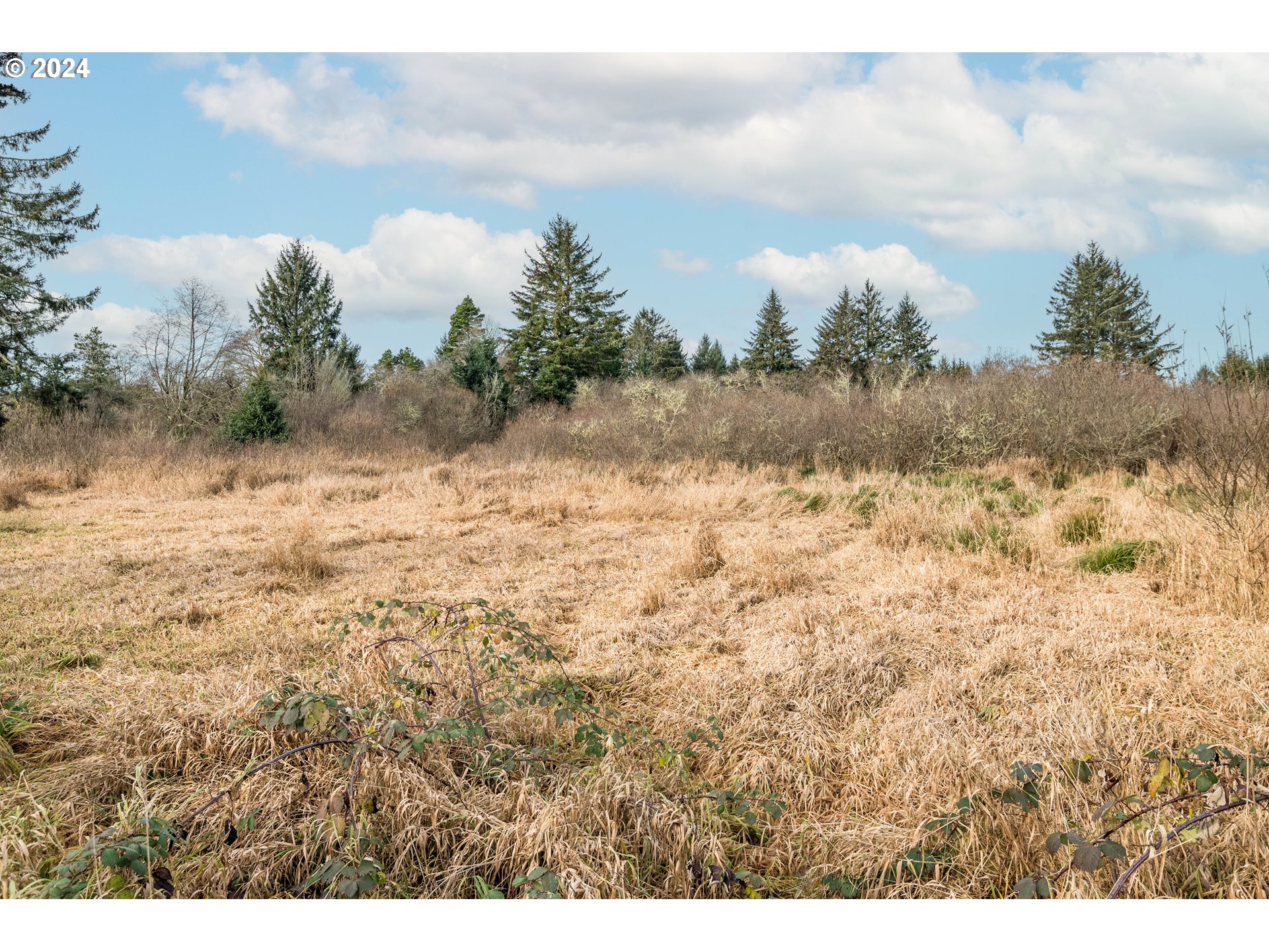 2990 40th Street Long Beach, WA 98631 - Photo 5 of 13 a view of a lake view