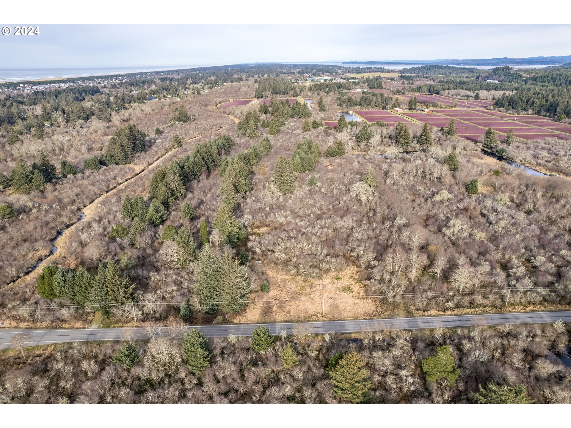 2990 40th Street Long Beach, WA 98631 - Photo 6 of 13 an aerial view of house with yard and mountain in the back