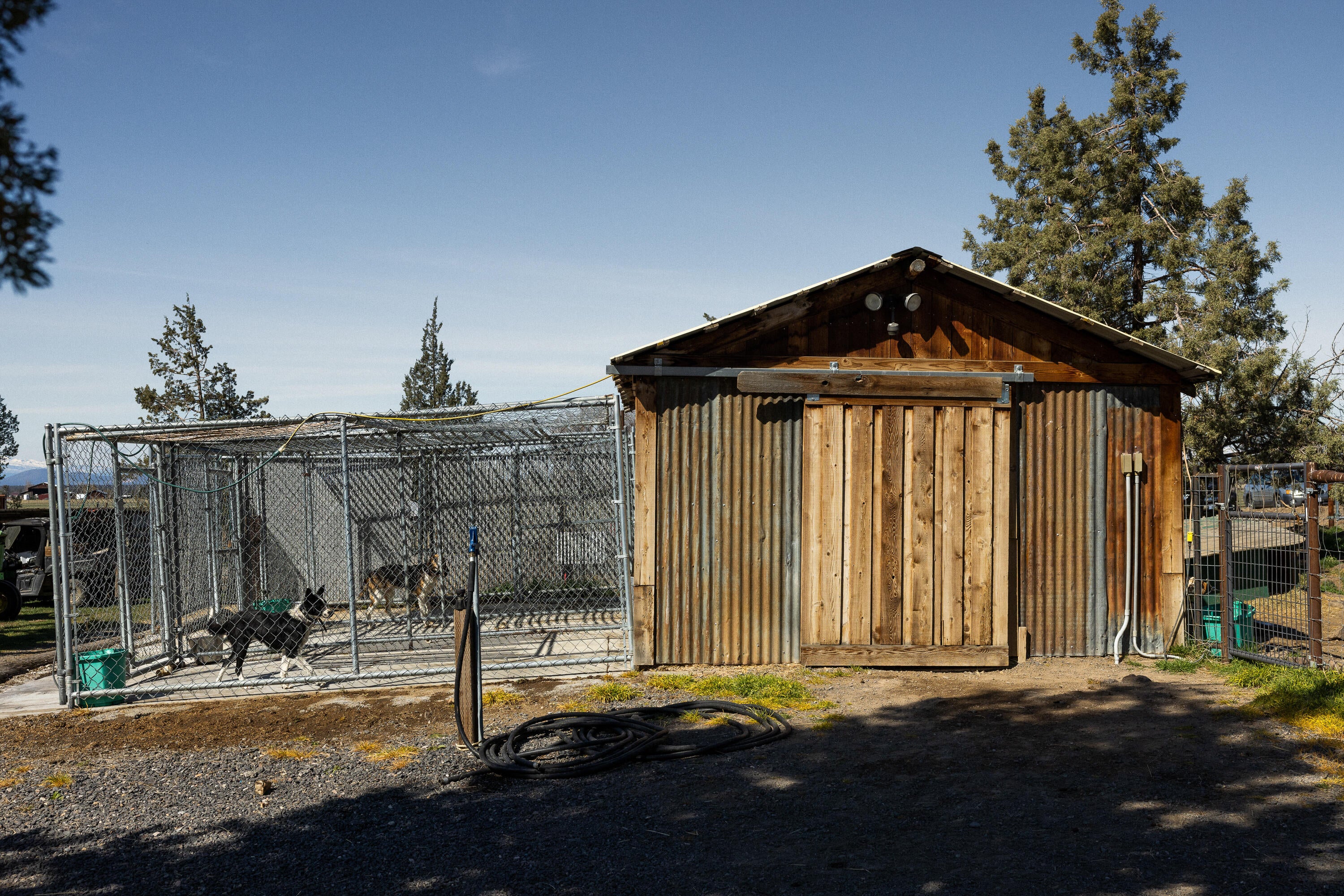 12106 Southwest Houston Lake Road Powell Butte, OR 97753 - Photo 28 of 51 12 x 18 Dog kennel w/ runs