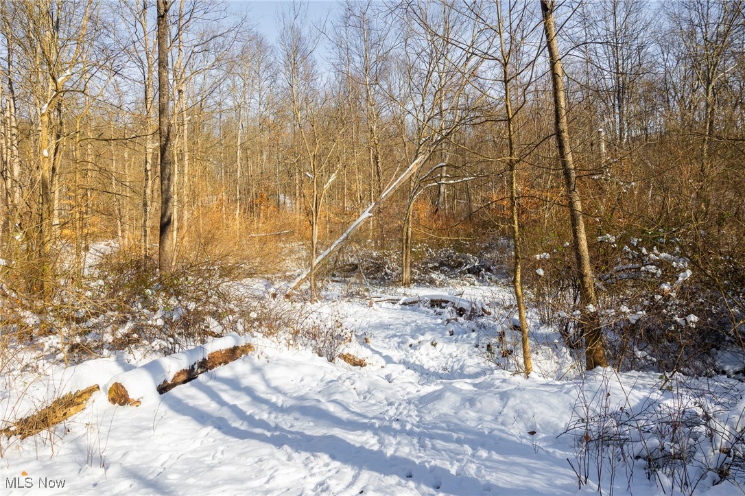 138 Township Road Coshocton, OH 43812 - Photo 18 of 47 Snowy landscape