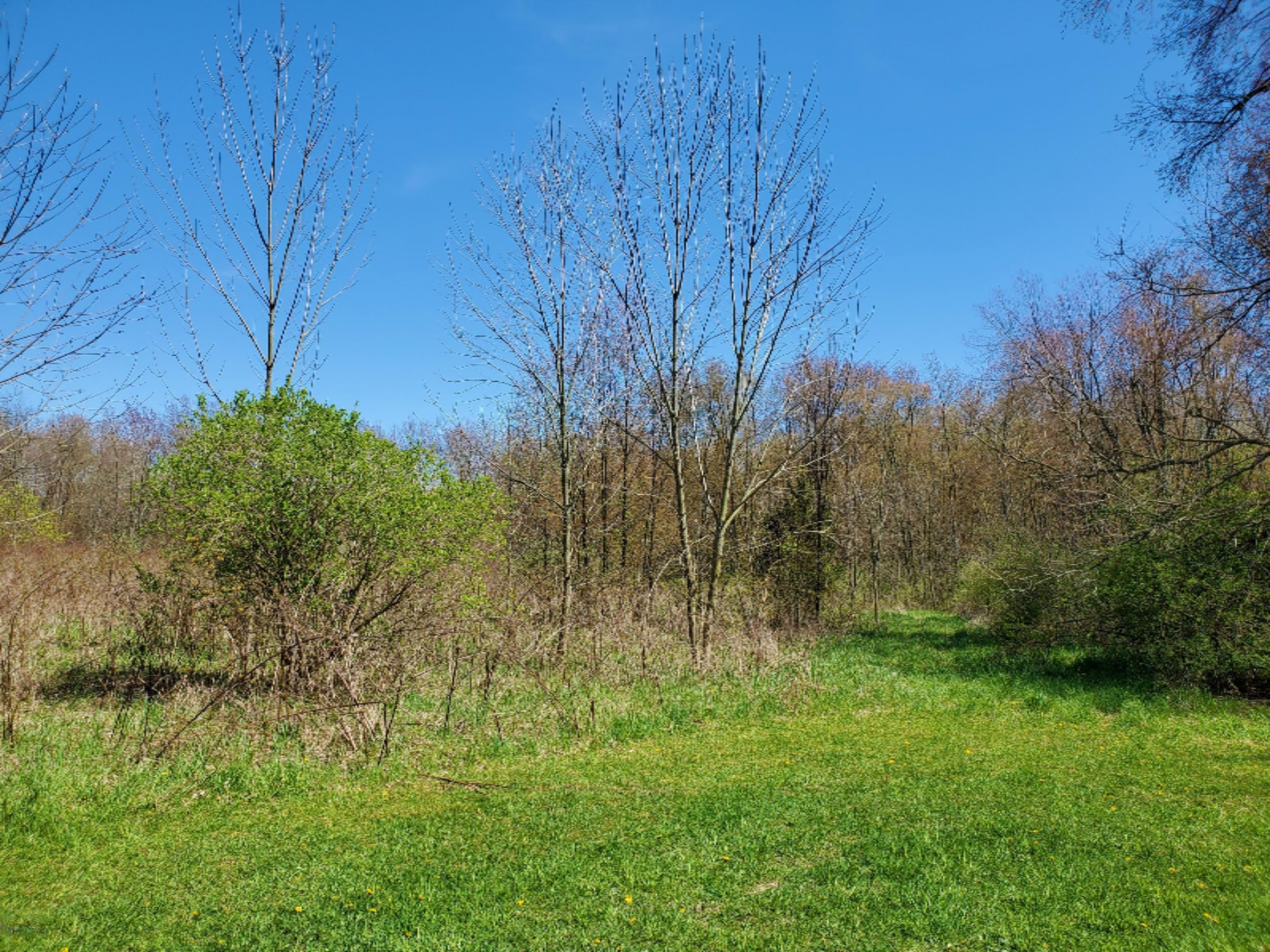 11163 Lindsey Road Plainwell, MI 49080 - Photo 11 of 16 20200507_151336