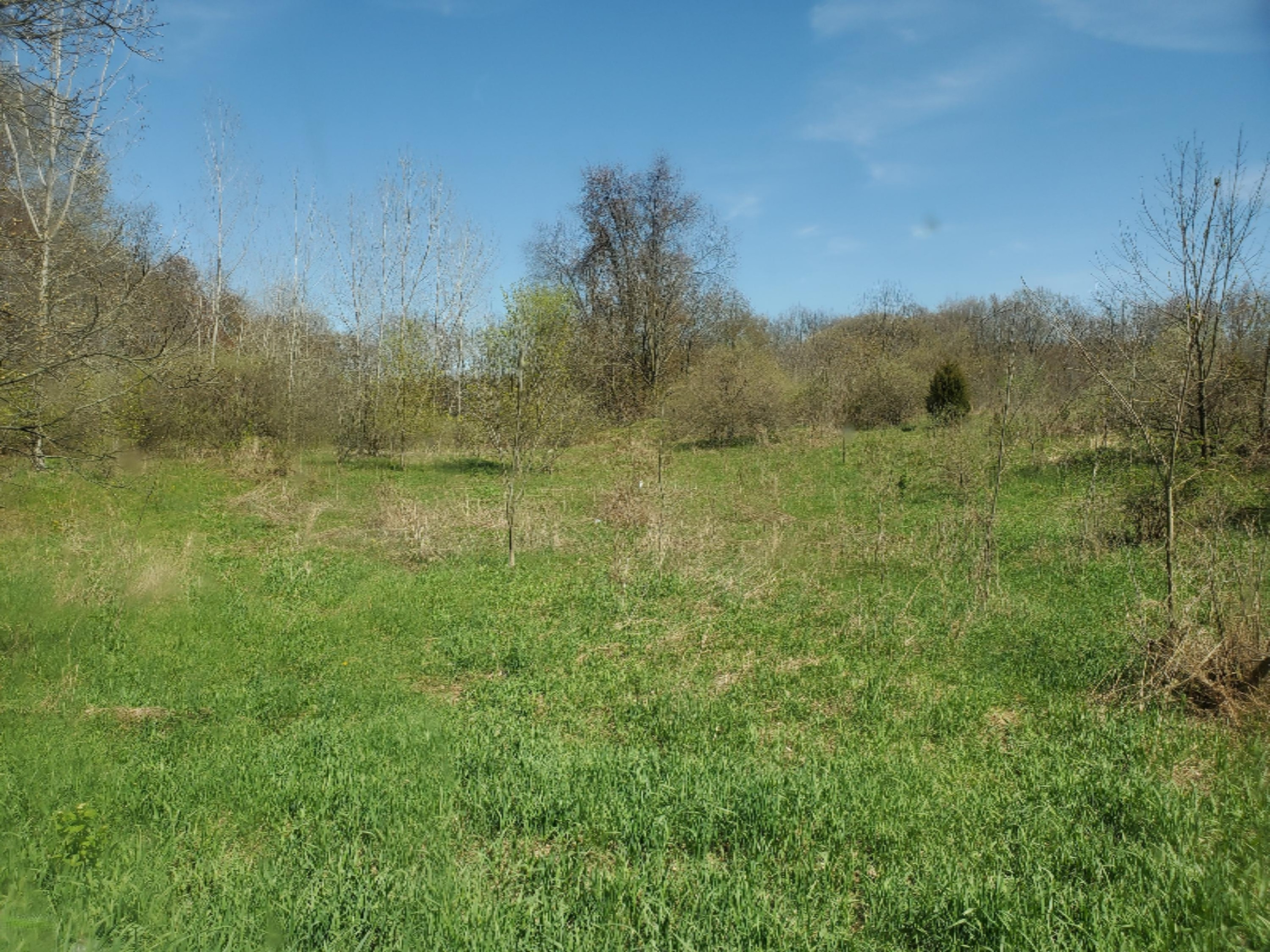 11163 Lindsey Road Plainwell, MI 49080 - Photo 12 of 16 20200507_153159