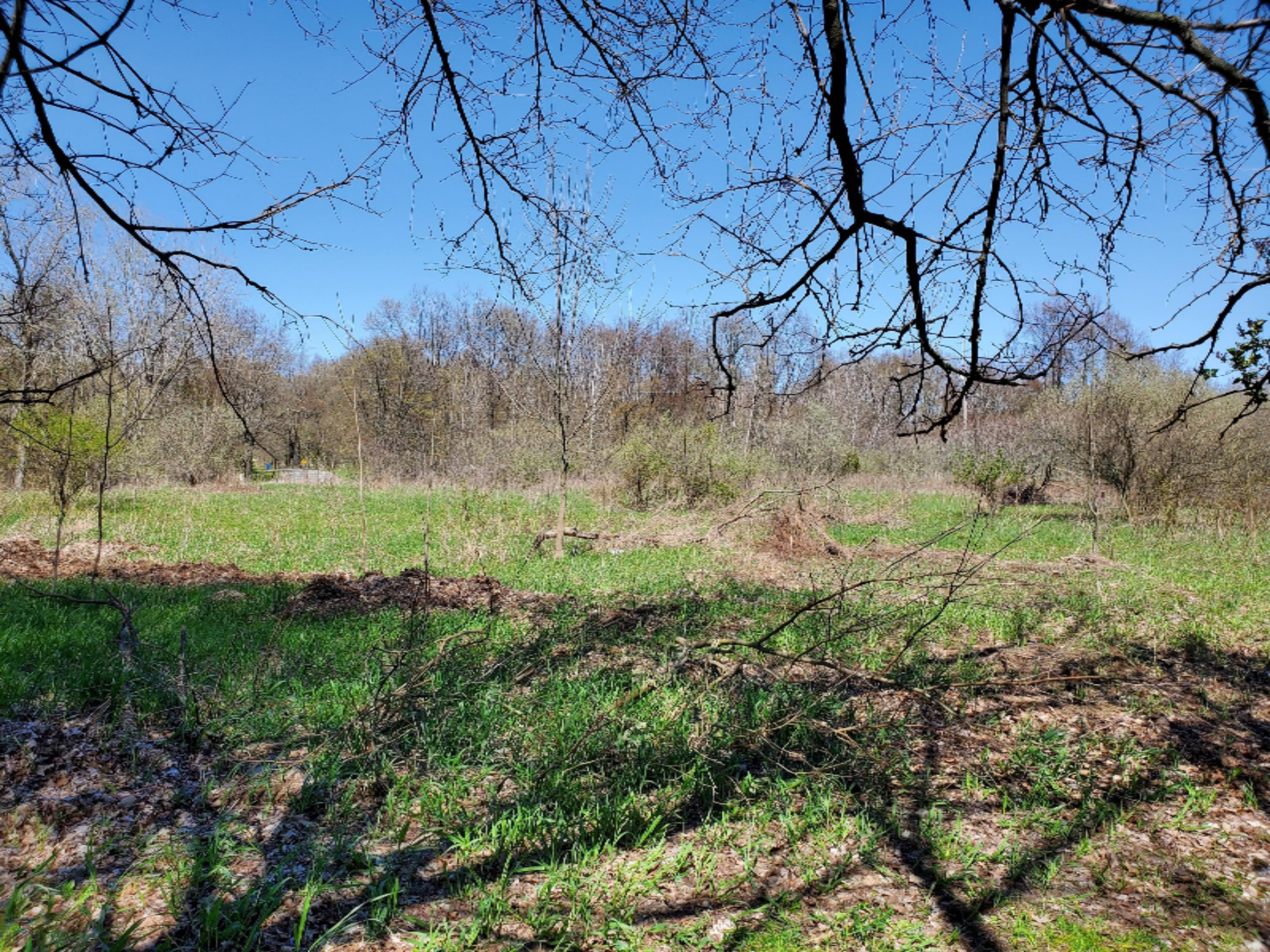 11163 Lindsey Road Plainwell, MI 49080 - Photo 13 of 16 20200507_150048