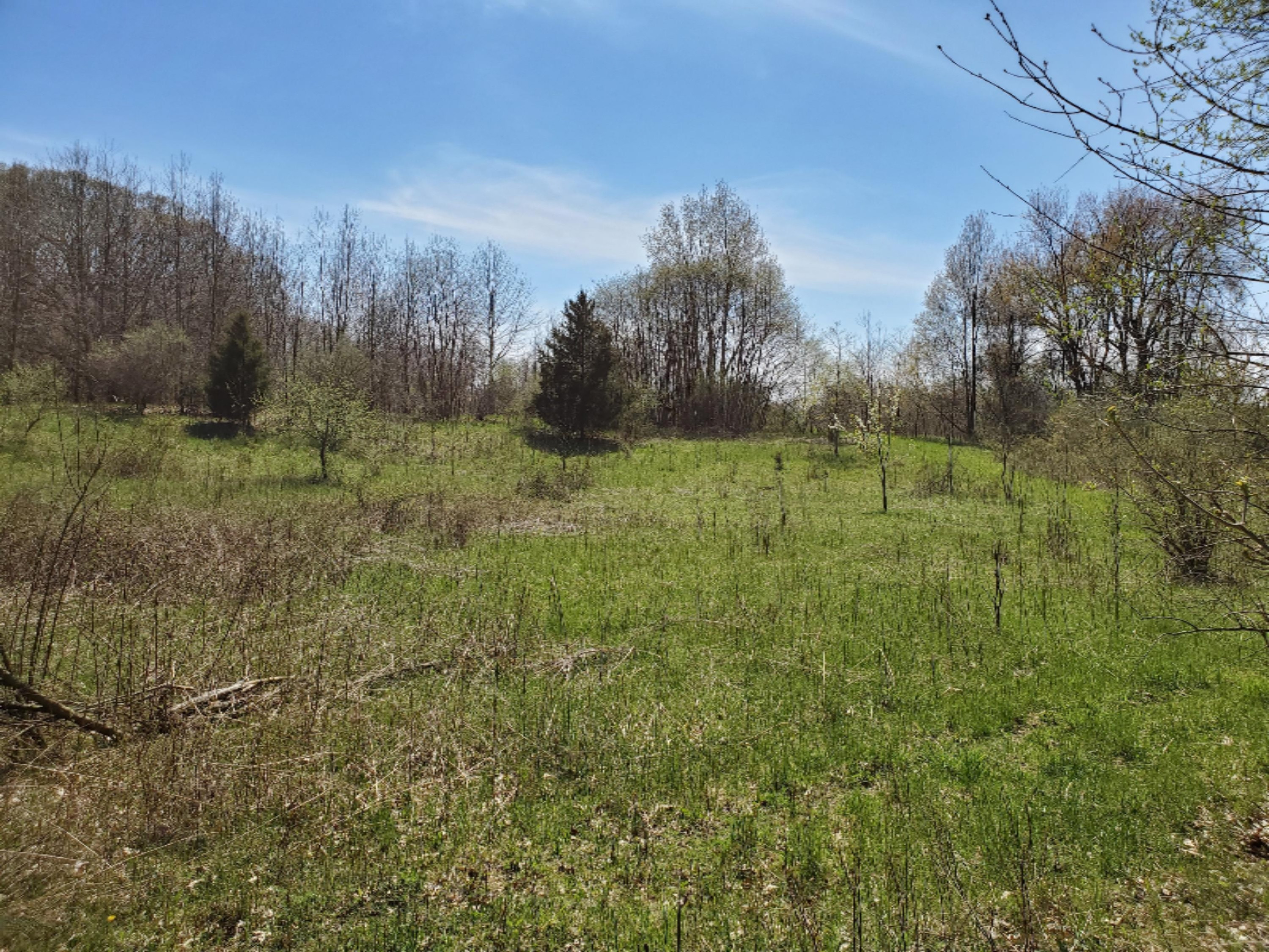 11163 Lindsey Road Plainwell, MI 49080 - Photo 10 of 16 20200507_152750