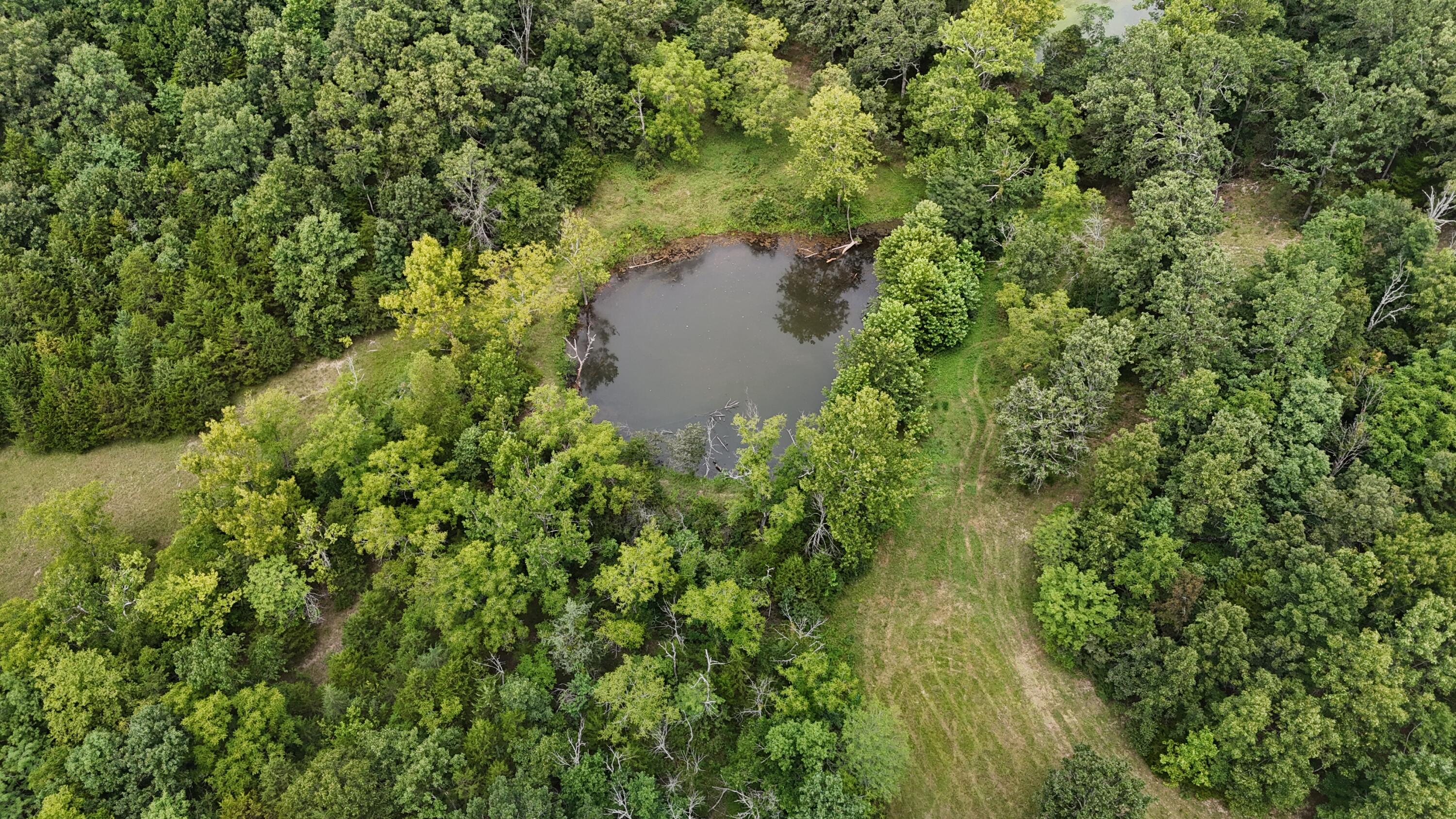 4944 Harlin Road Norwood, MO 65717 - Photo 64 of 77 DJI_20260728131123_0334_D