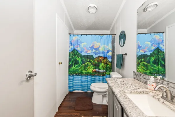 a bathroom with a sink mirror vanity and toilet