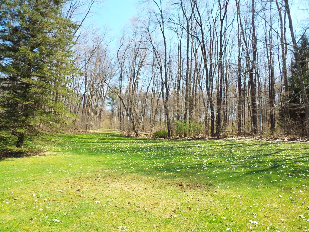 1864 Gowdy Road Fryburg, PA 16326 - Photo 49 of 55 Gallery Image 49