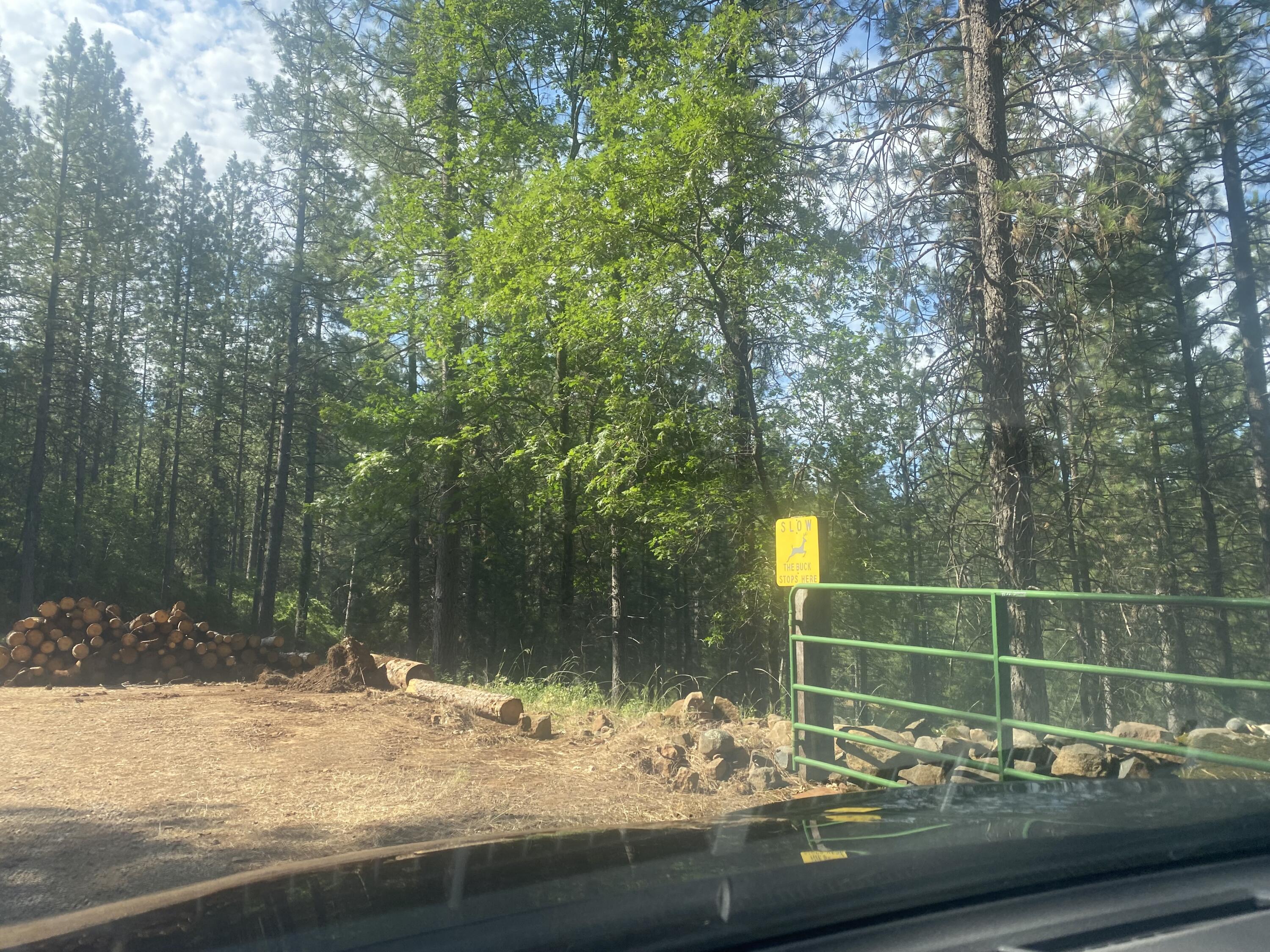 0 Arrow Point Drive Oak Run, CA 96069 - Photo 11 of 14 Gate w sign