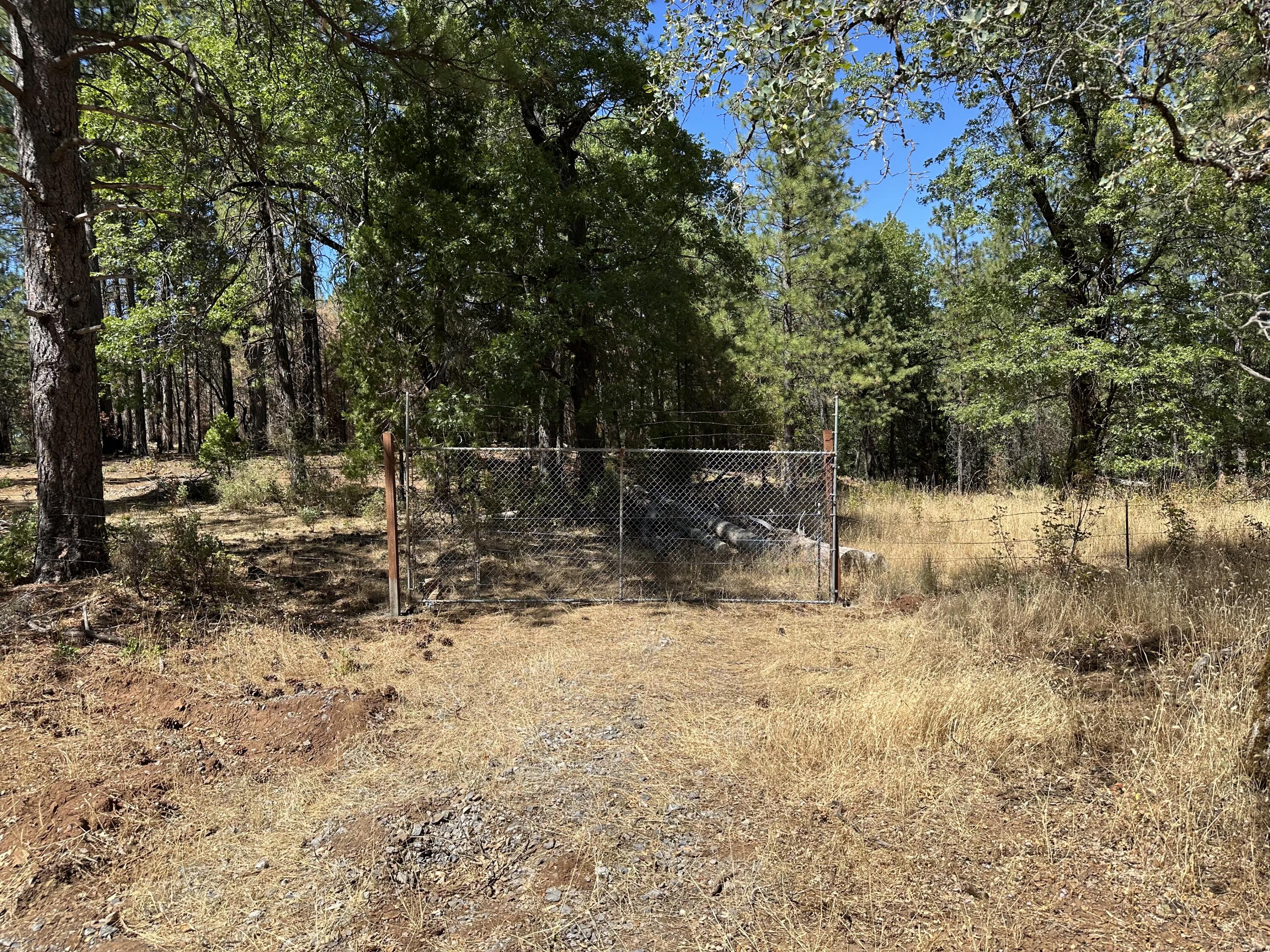 0 Arrow Point Drive Oak Run, CA 96069 - Photo 12 of 14 Gate 3
