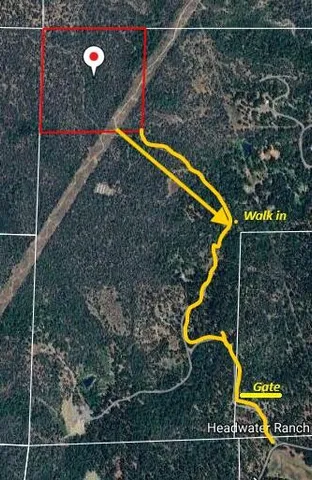 a view of a yard with an umbrella