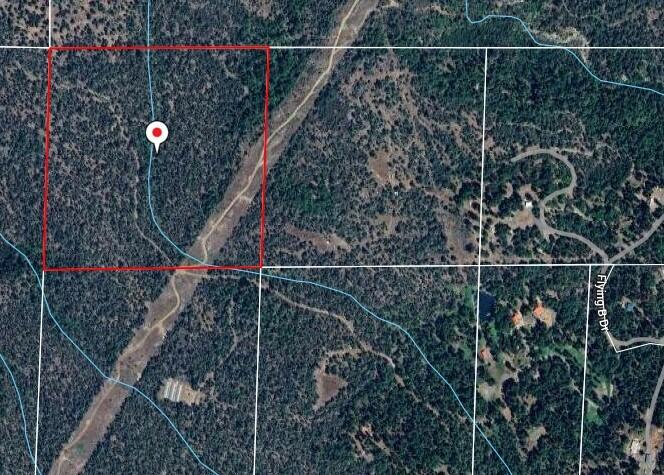 0 Arrow Point Drive Oak Run, CA 96069 - Photo 4 of 14 Screen Shot View