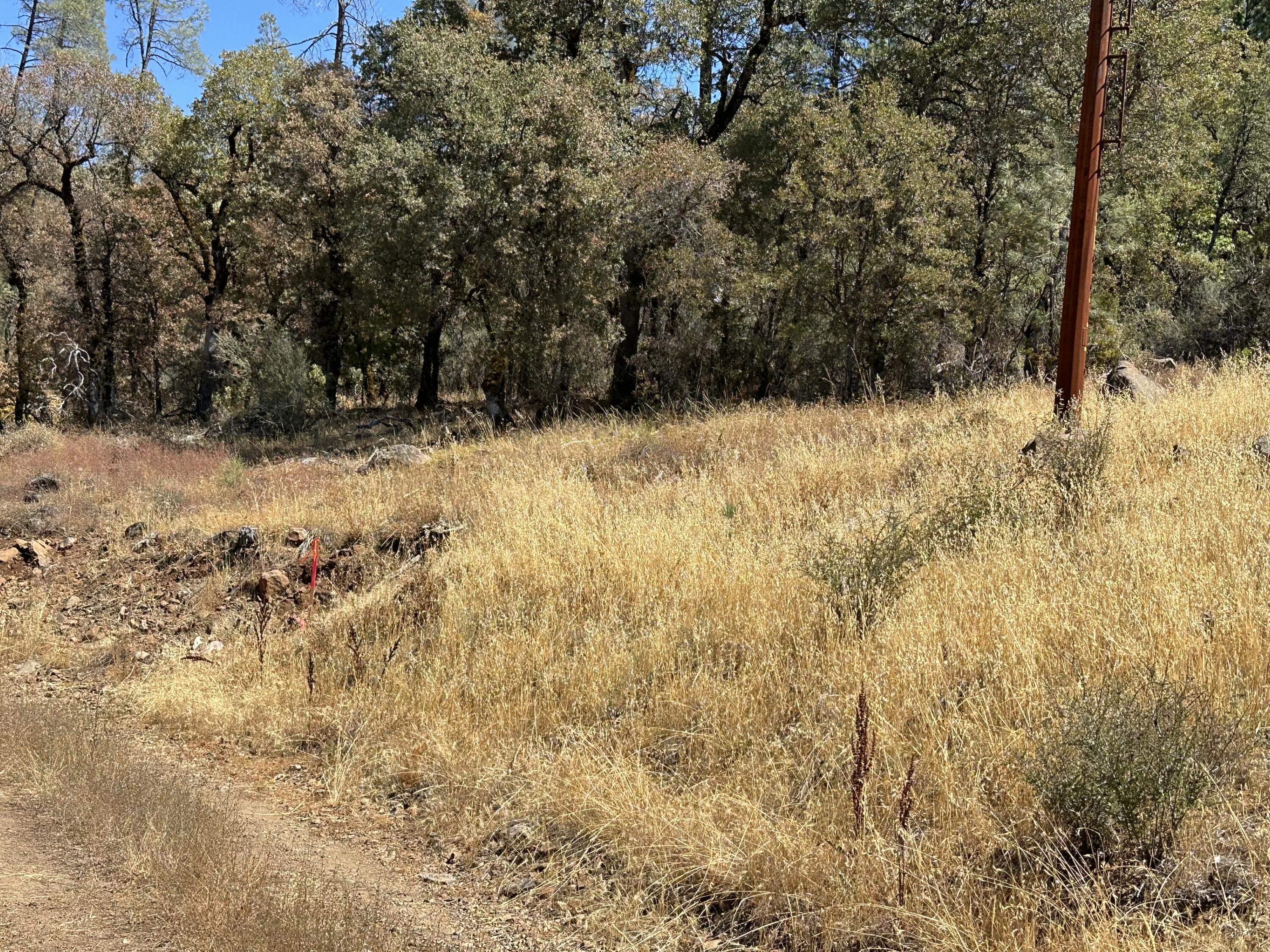 0 Arrow Point Drive Oak Run, CA 96069 - Photo 5 of 14 Land 2