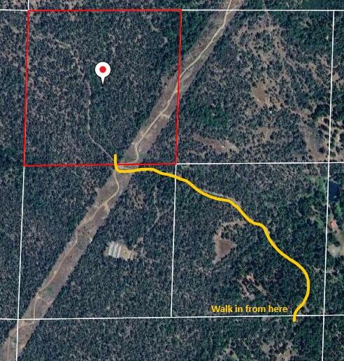 0 Arrow Point Drive Oak Run, CA 96069 - Photo 7 of 14 Map