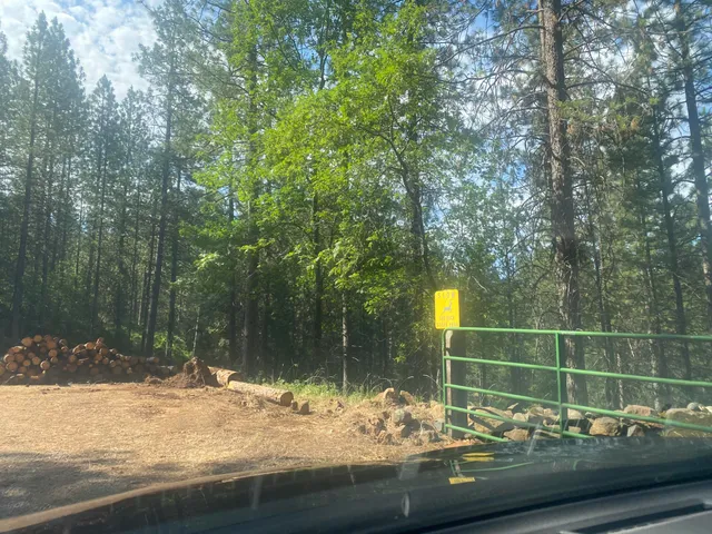 $54,900 | 0 Arrow Point Drive, Oak Run, CA 96069