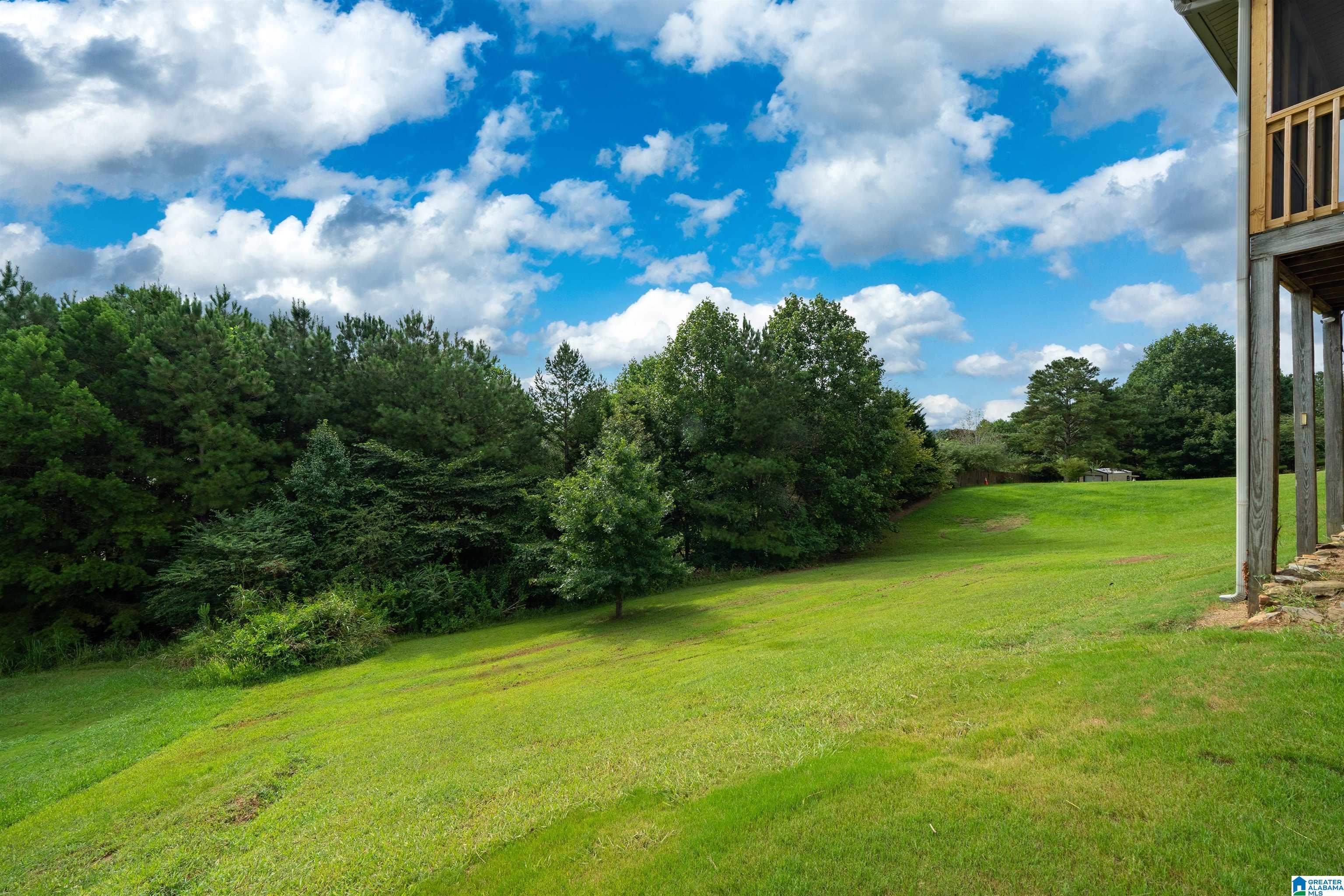 487 Woodland Ridge Road Odenville, AL 35120 - Photo 26 of 26