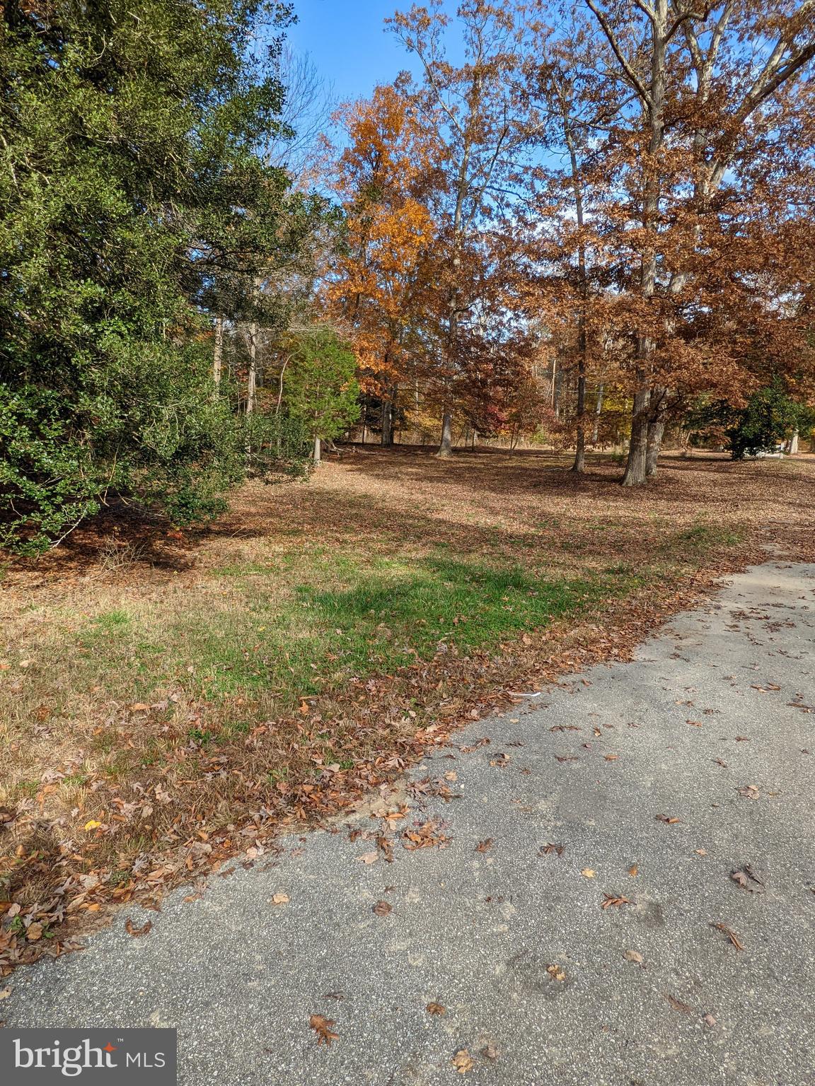 6160 Ripley Way La Plata, MD 20646 - Photo 11 of 54 Gallery Image 11