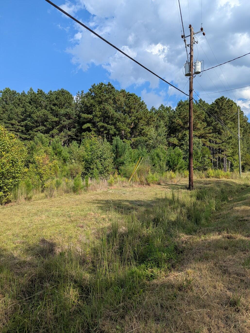 1661 Nixon Road Augusta, GA 30906 - Photo 2 of 3 1661 Nixon Road - View 2 Street