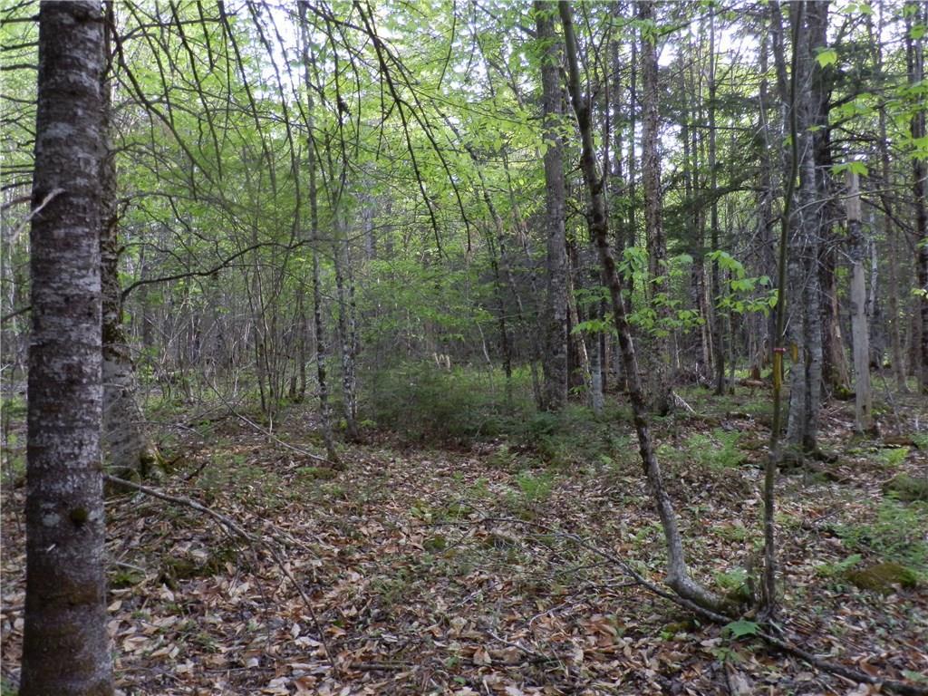 0 Bottle Lake Road Springfield, ME 04487 - Photo 13 of 25 Photo