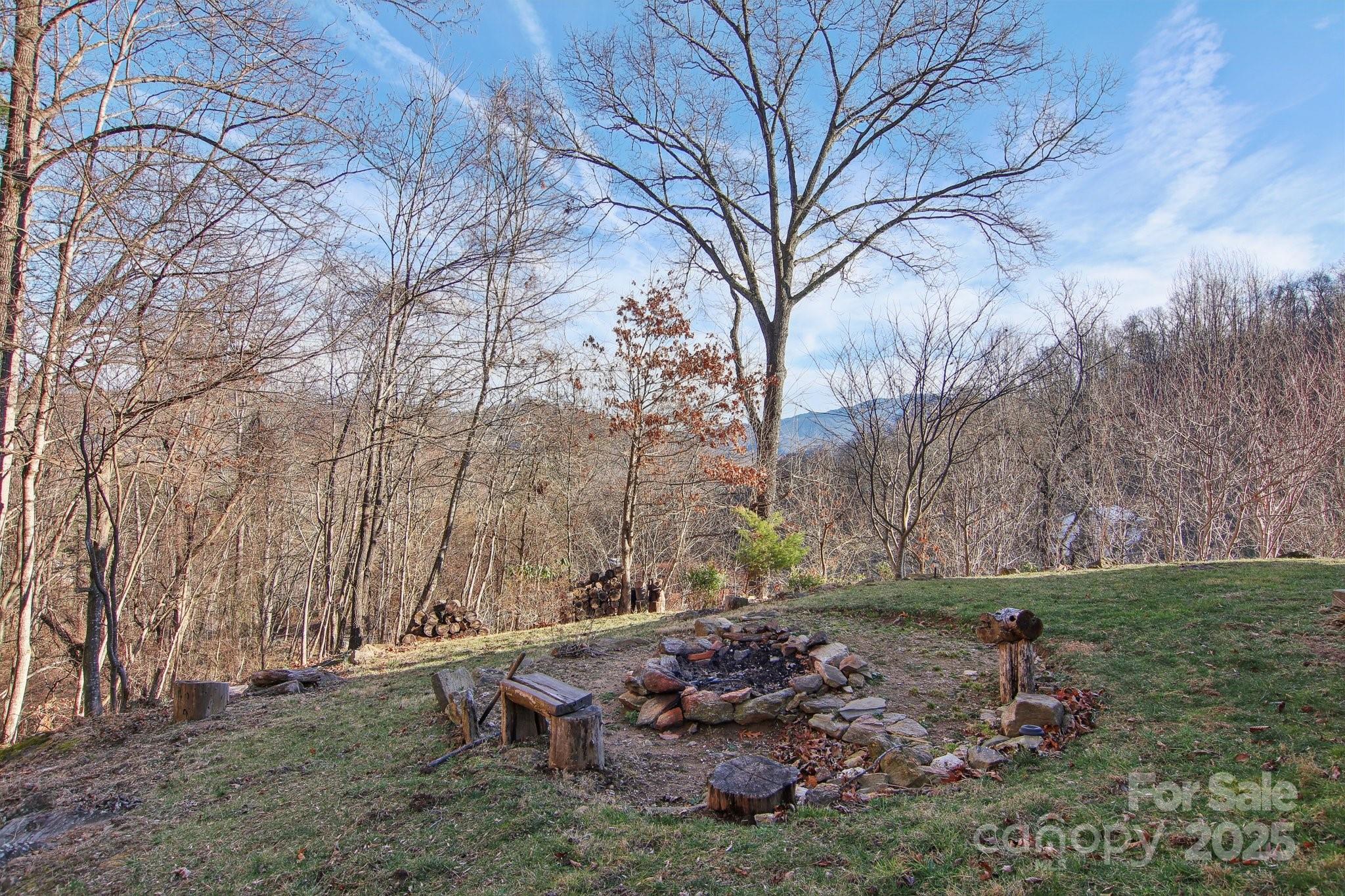 76 Eastern Sky Drive Canton, NC 28716 - Photo 11 of 48 a backyard of a house with lots of green space