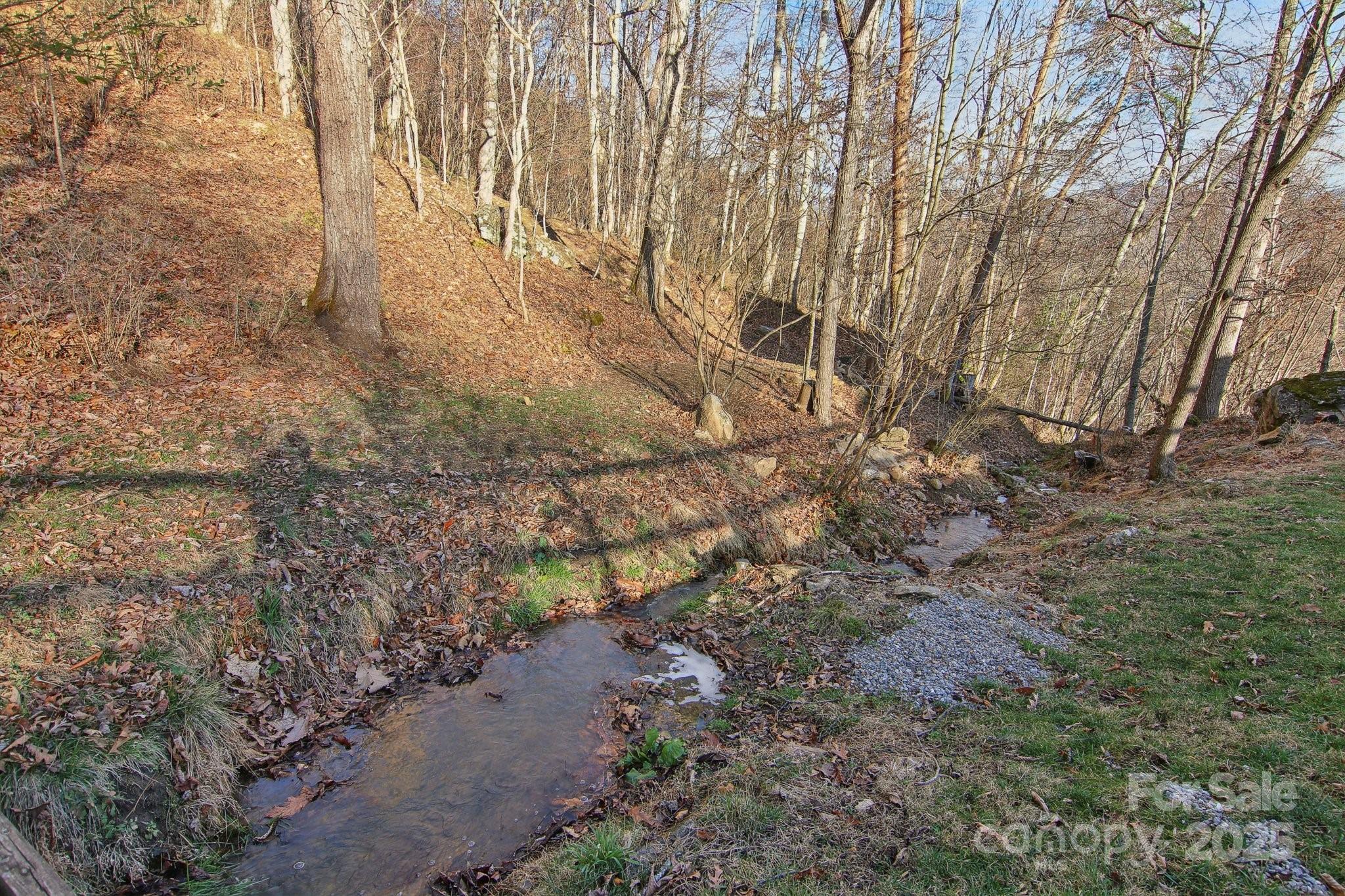 76 Eastern Sky Drive Canton, NC 28716 - Photo 12 of 48 a backyard of a house with lots of green space