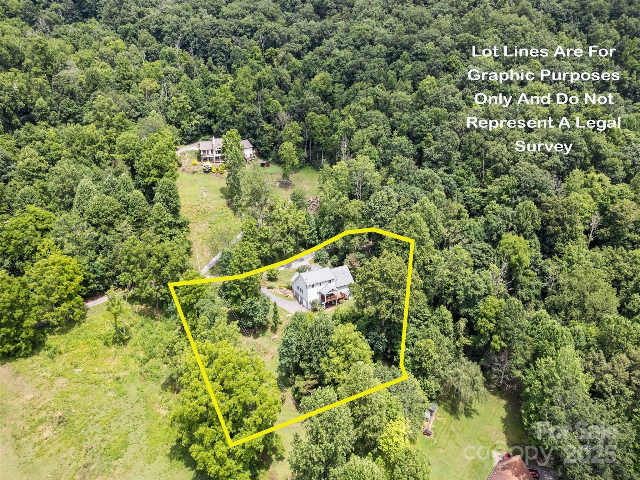 76 Eastern Sky Drive Canton, NC 28716 - Photo 48 of 48 a view of a forest