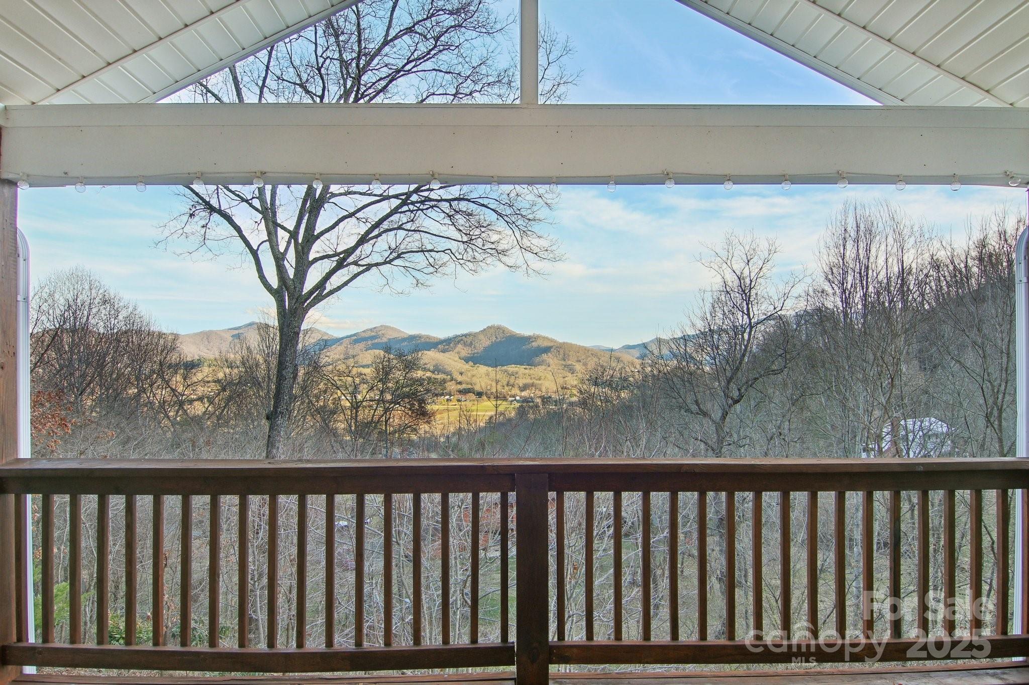 76 Eastern Sky Drive Canton, NC 28716 - Photo 9 of 48