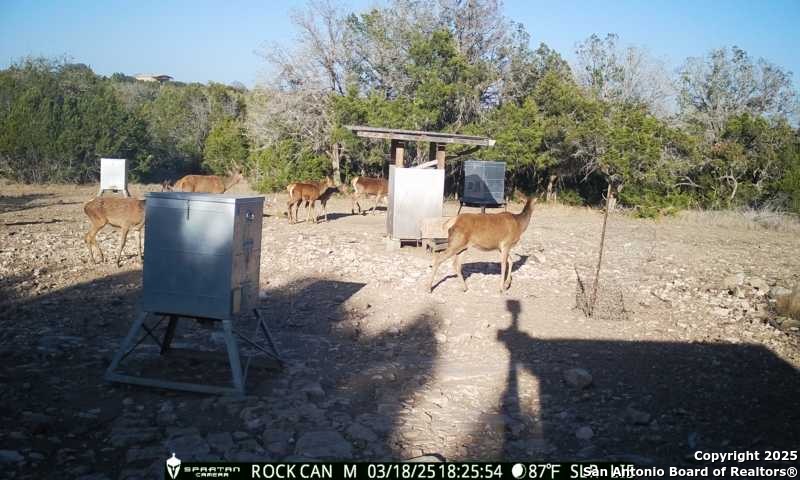 3190 Sd 24910 Rocksprings, TX 78880 - Photo 13 of 52
