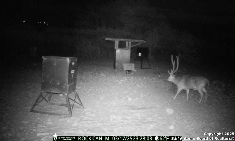 3190 Sd 24910 Rocksprings, TX 78880 - Photo 14 of 52