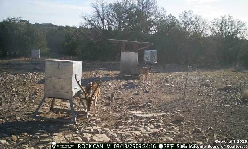 3190 Sd 24910 Rocksprings, TX 78880 - Photo 16 of 52