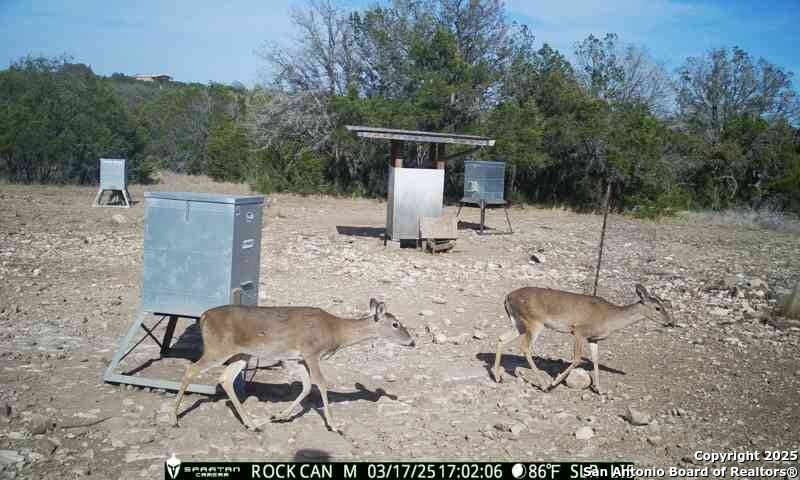 3190 Sd 24910 Rocksprings, TX 78880 - Photo 17 of 52