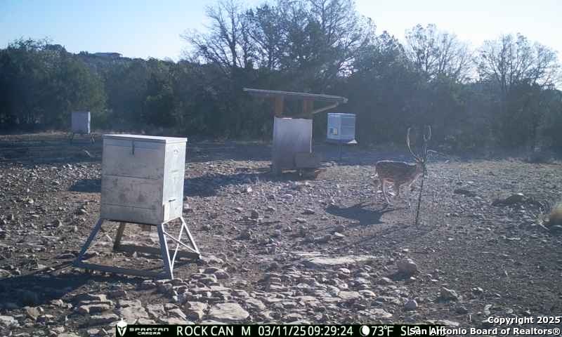 3190 Sd 24910 Rocksprings, TX 78880 - Photo 18 of 52