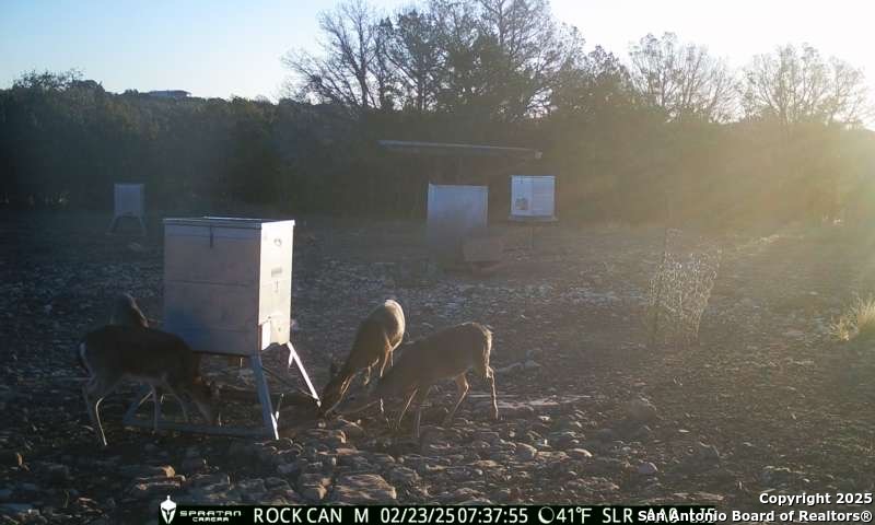 3190 Sd 24910 Rocksprings, TX 78880 - Photo 20 of 52