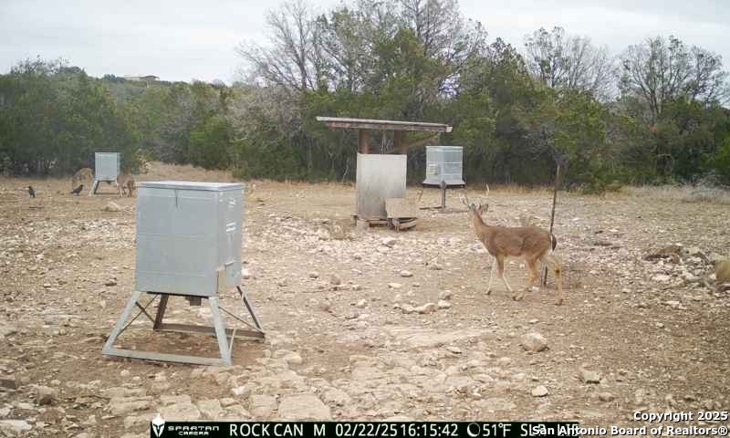 3190 Sd 24910 Rocksprings, TX 78880 - Photo 21 of 52
