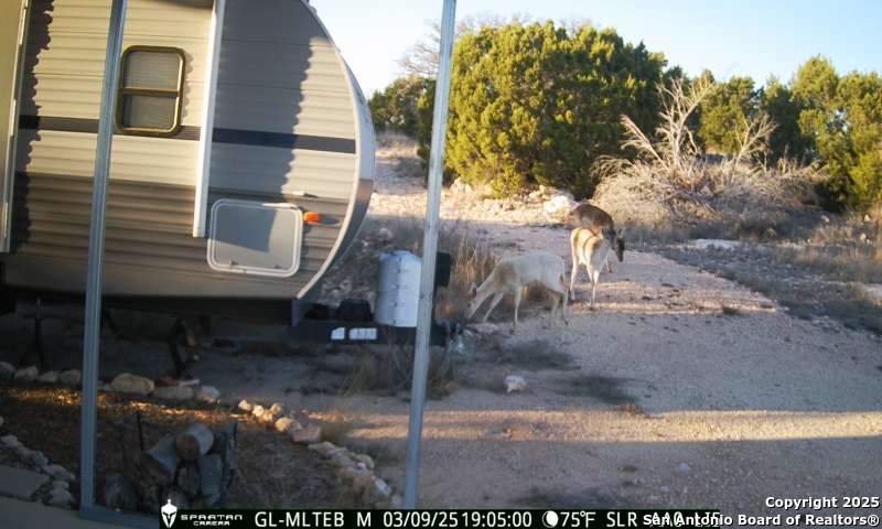 3190 Sd 24910 Rocksprings, TX 78880 - Photo 22 of 52