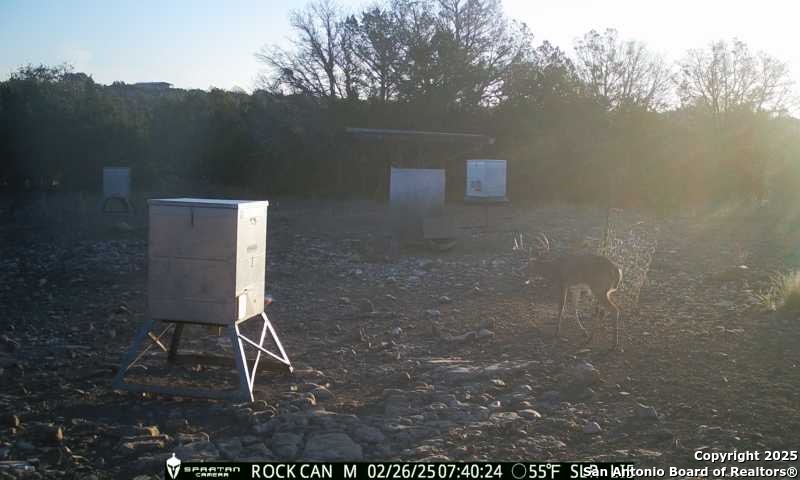 3190 Sd 24910 Rocksprings, TX 78880 - Photo 26 of 52