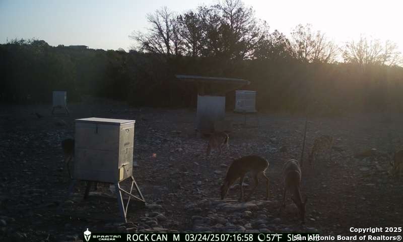 3190 Sd 24910 Rocksprings, TX 78880 - Photo 28 of 52