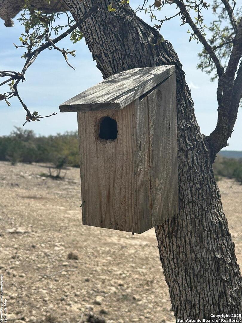 3190 Sd 24910 Rocksprings, TX 78880 - Photo 41 of 52