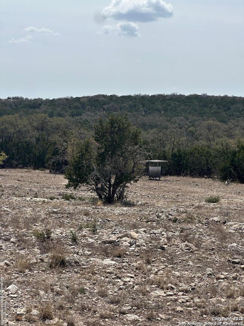 3190 Sd 24910 Rocksprings, TX 78880 - Photo 42 of 52