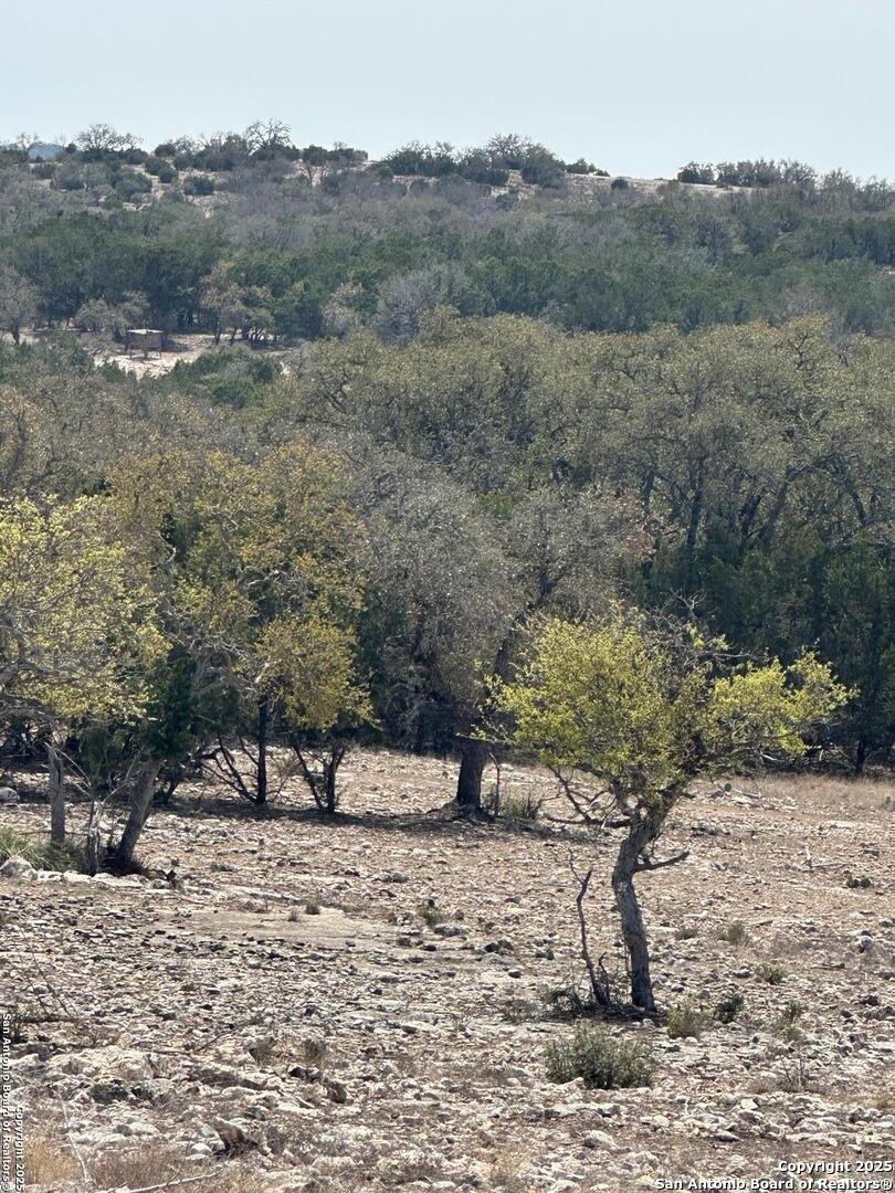 3190 Sd 24910 Rocksprings, TX 78880 - Photo 44 of 52