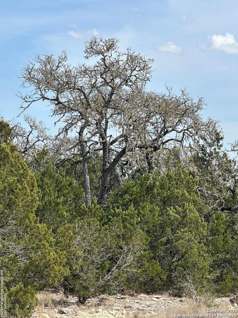 3190 Sd 24910 Rocksprings, TX 78880 - Photo 51 of 52