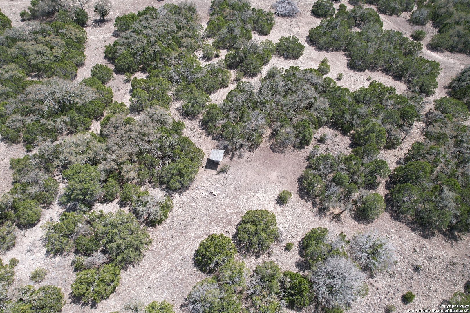 3190 Sd 24910 Rocksprings, TX 78880 - Photo 9 of 52