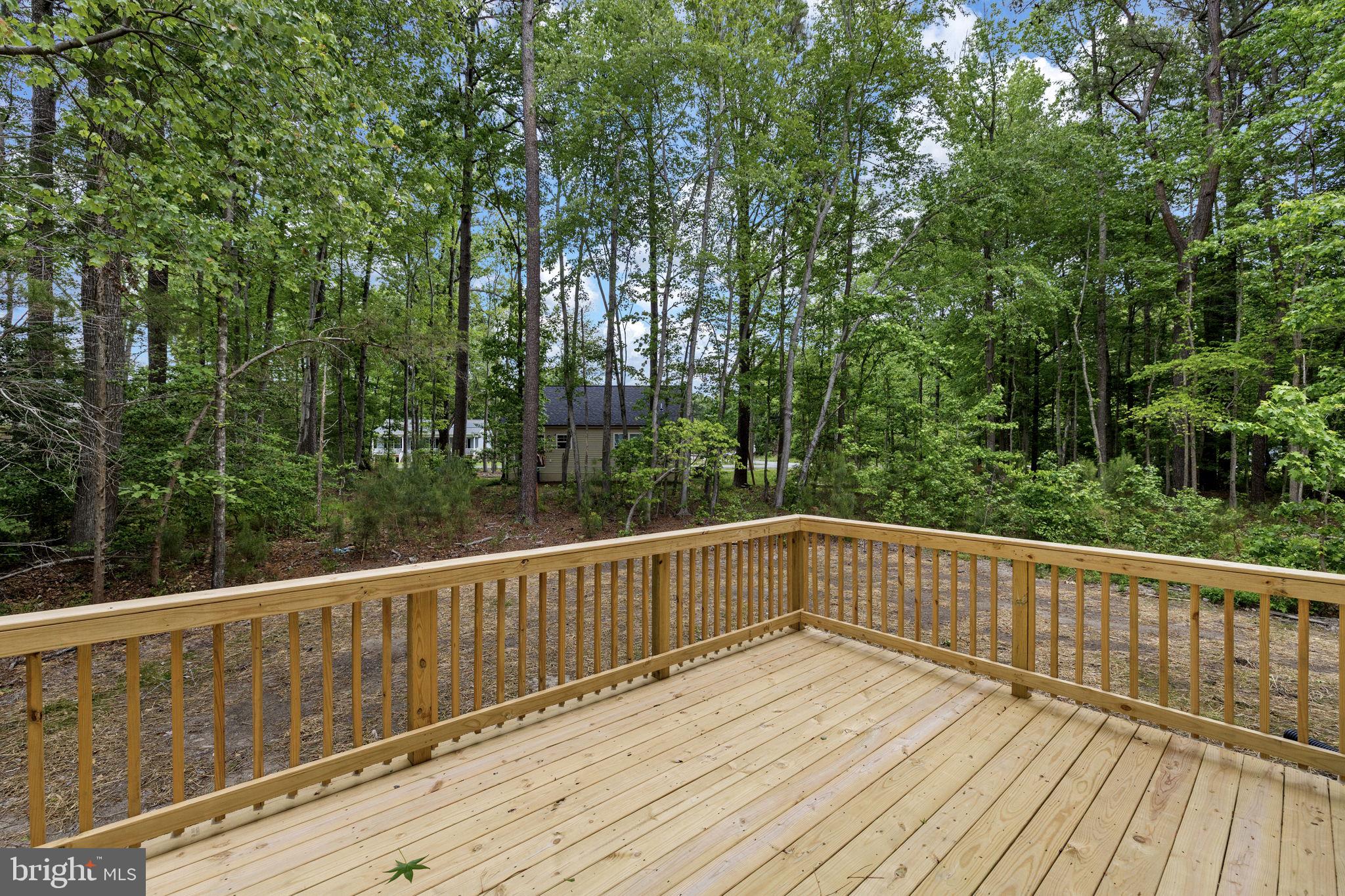 113 Laurel Lane Colonial Beach, VA 22443 - Photo 38 of 44 Rear deck and view