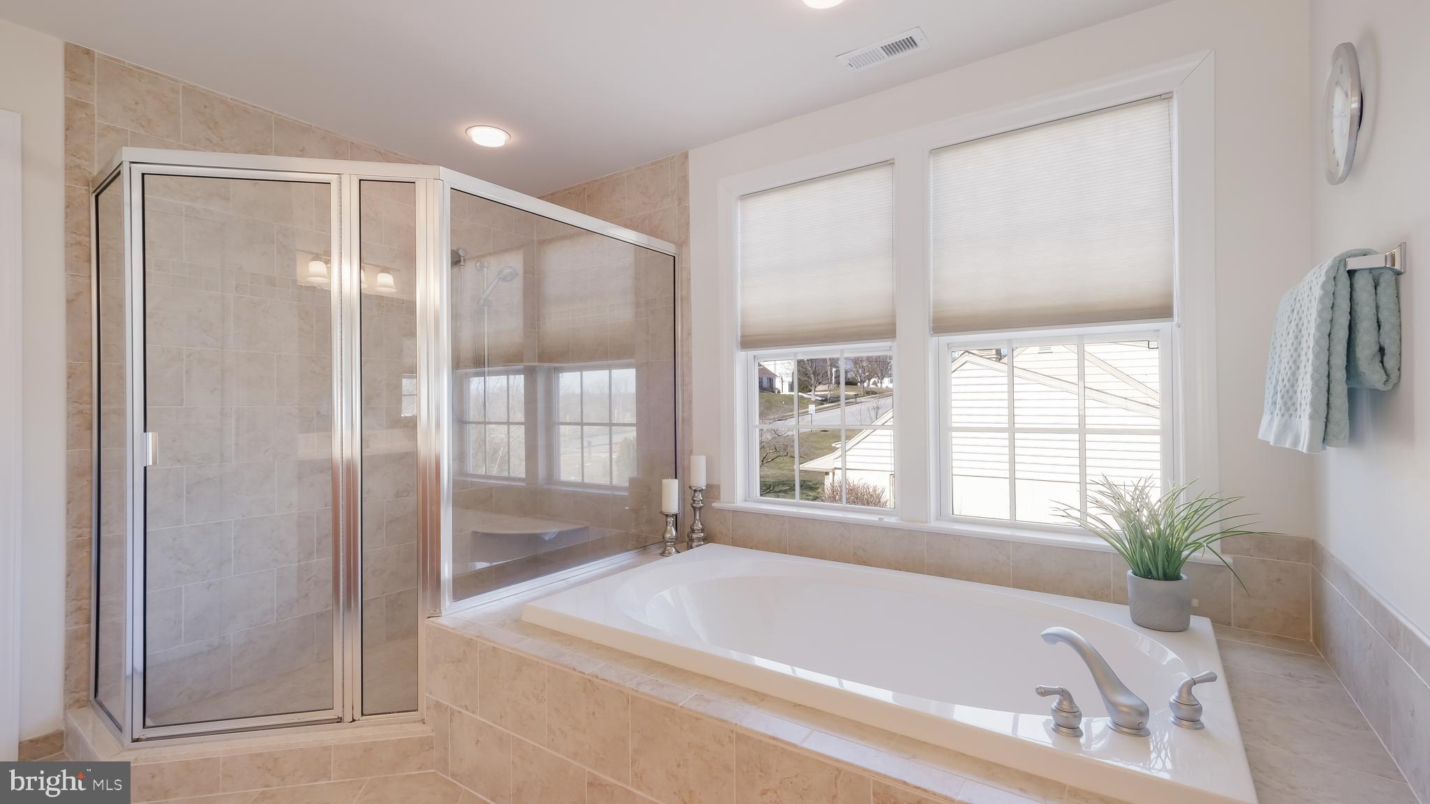 236 Green Tree Road Oaks, PA 19460 - Photo 22 of 39 Soaking Tub & Glass Shower