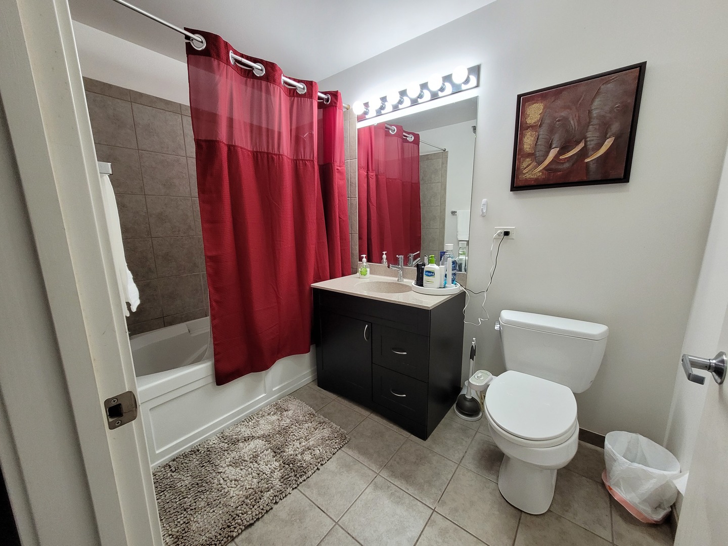 235 West Van Buren Street, Unit 2608 Chicago, IL 60607 - Photo 11 of 20 a bathroom with a toilet sink vanity and mirror