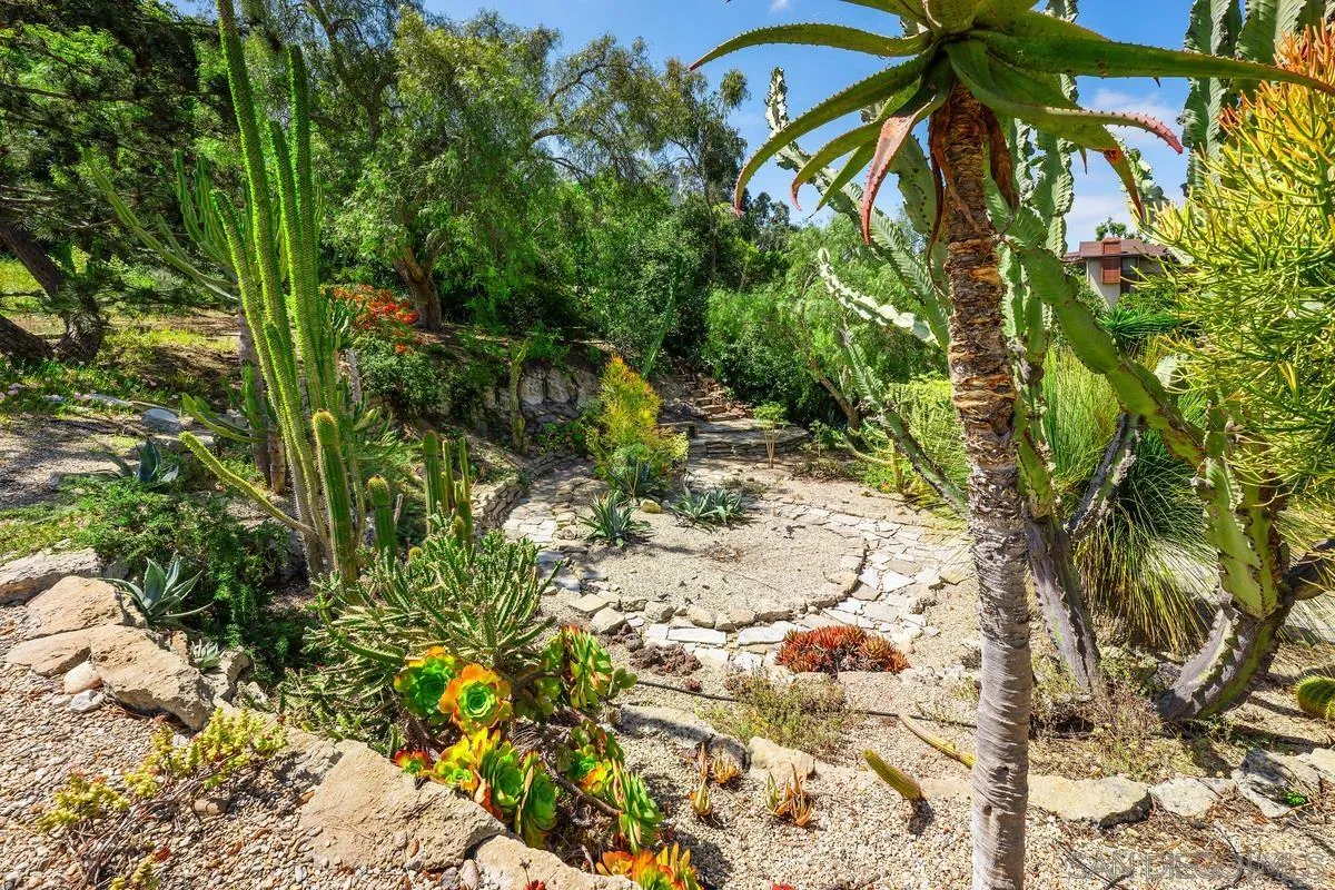 14430 Rancho Santa Fe Farms Road Rancho Santa Fe, CA 92067 - Photo 50 of 51 a picture of plants
