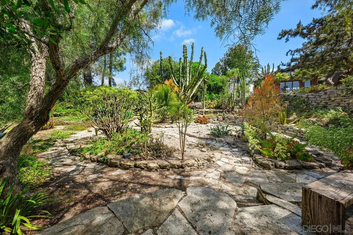 14430 Rancho Santa Fe Farms Road Rancho Santa Fe, CA 92067 - Photo 51 of 51 a view of yard